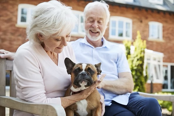 Couple with their bulldog